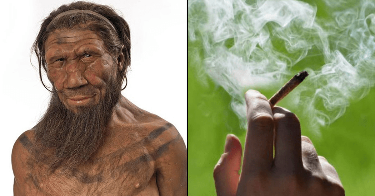 Alexa… Play, Manali Trance: A Study Says Humans Were Getting High On Drugs 3,000 Years Ago