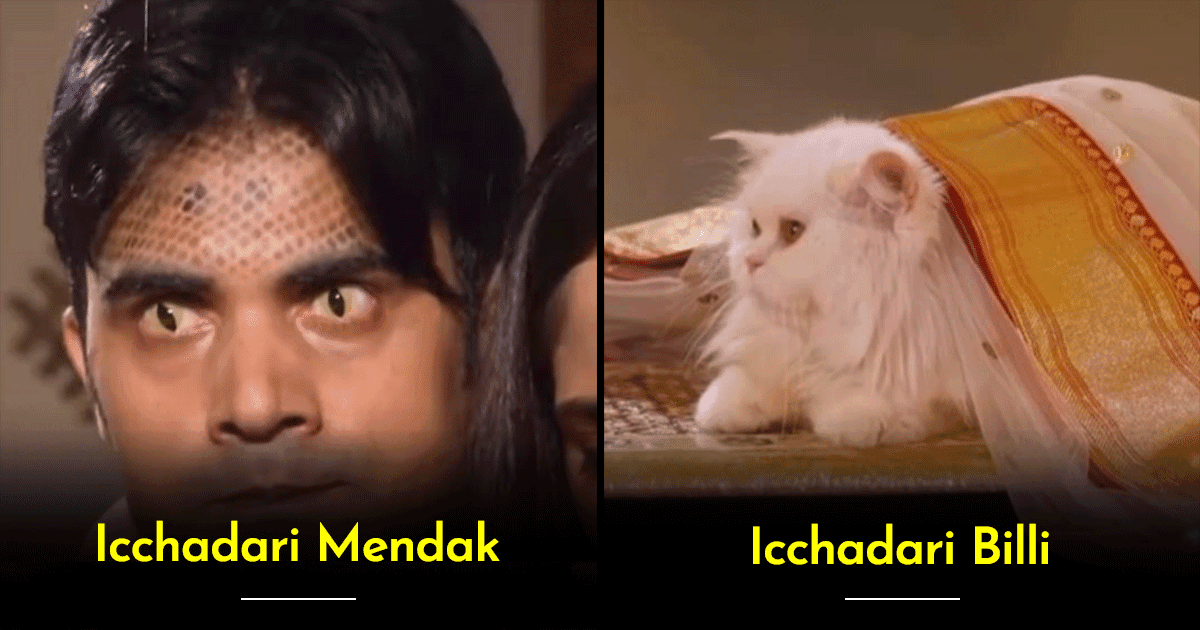 Icchadari ‘Mendak’ To ‘Ullu’, We’re Trying To Process Indian TV’s Love For Turning Humans Into Animals