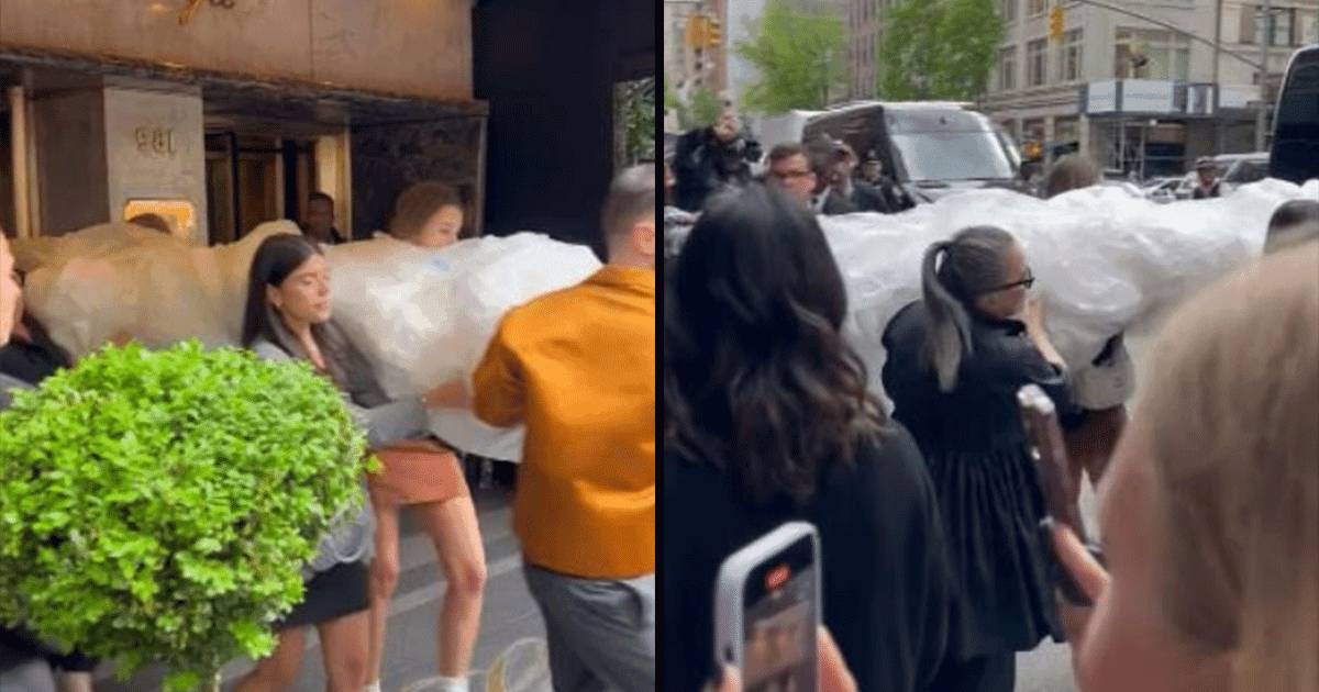 Apparently A Celeb Was Wrapped & Carried To The Met Gala & Nobody Knows Who It Was