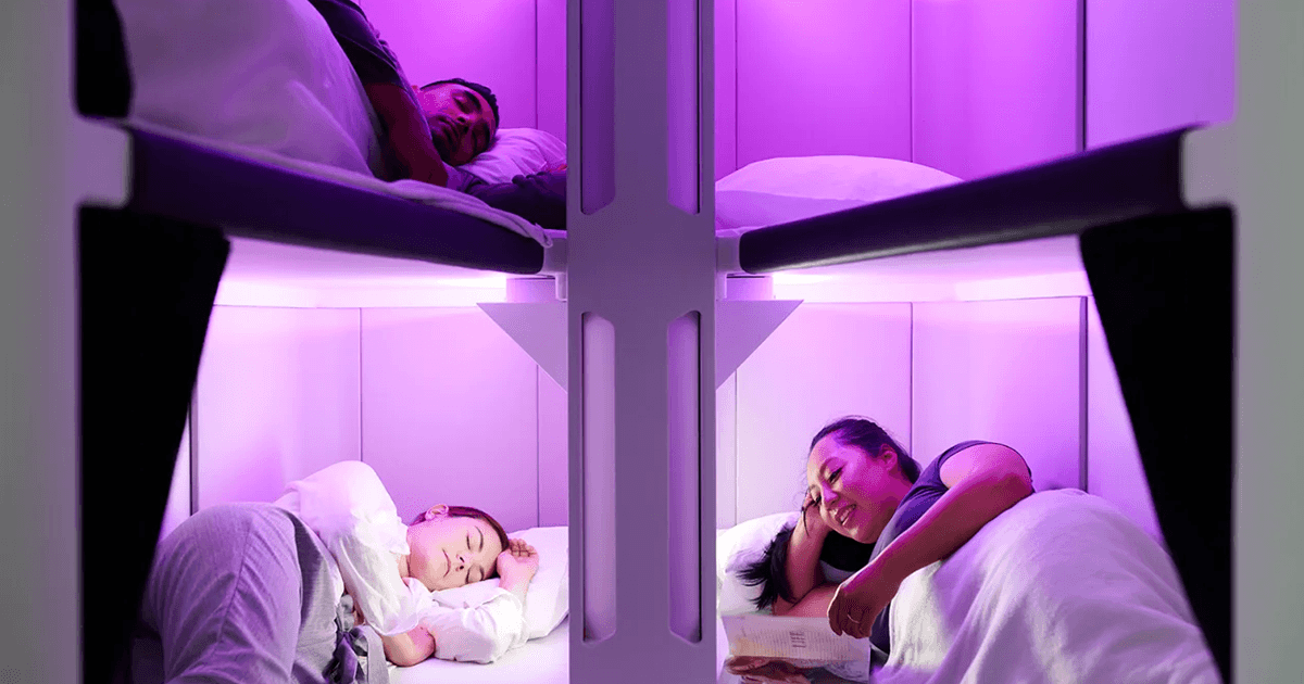 Air New Zealand Has Launched Bunk Beds For Their Economy Class For $100 An Hour
