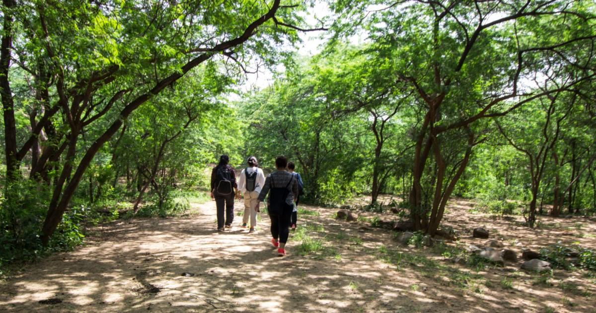Delhi To Soon Have 250 Women-Only Parks Where Men Will Not Be Allowed