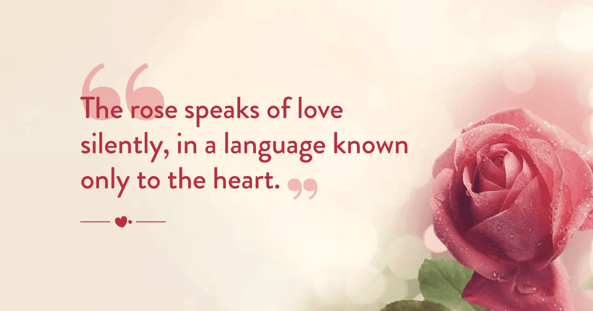 100+ Happy Rose Day Quotes, Wishes, Messages & Images To Express Your Love