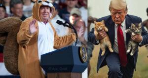 Trump Edges Out Kamala Harris In A Tight Race & Twitter, As Usual, Is Having A Meme Fest